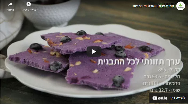 חטיף פרוזן יוגורט ואוכמניות